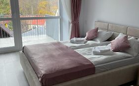 Ava Studio Sinaia